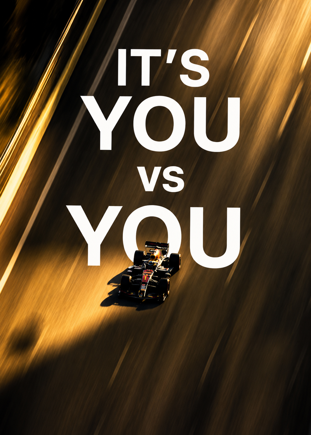 F1 Fever It's You vs You poster