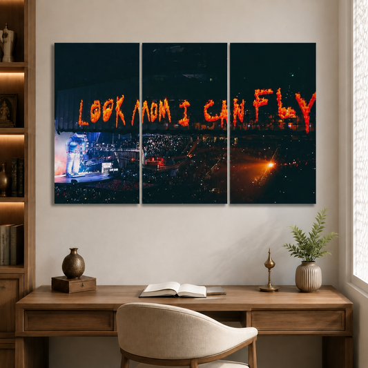 Look Mom I Can Fly 3 Split Poster Set